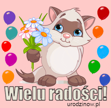 Życzenia urodzinowe, kotek z bukietem kwiatów i ciasta